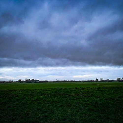 Another lockdown thunderstorm. From inside the greenhouse