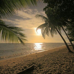 🌑babydoll ft. $ketchy refe