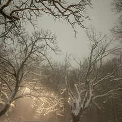 inanotherlifeicouldbelievetheywereproudofme