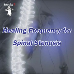 Healing Frequency for Spinal Stenosis - Spooky2 Rife Frequencies