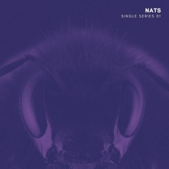 NATS - Devil (Original Mix)