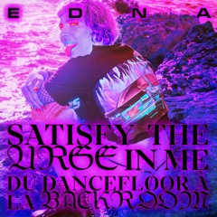 Satisfy the urge in me : du dancefloor à la backroom