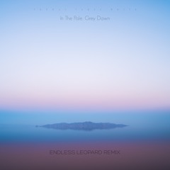 In The Pale, Grey Dawn (Endless Leopard Remix)