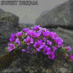 Magnom & #Tuks - Sweet Dream