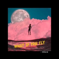 What If You Fly