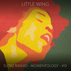 DJ Taz Rashid & Momentology - Little Wing (feat. #13)