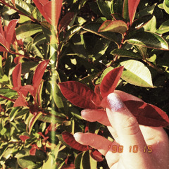 All girls start to upload their kids in insta stories .m4a