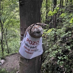 Money fr33style pro dědu