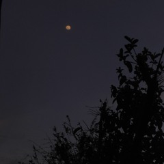 - Relaxing Nasheed - Ma A’dalak _ Muhammad Al-Muqit _ Slowed and Reverb