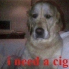 Melodies, Not Symphonies - Demo