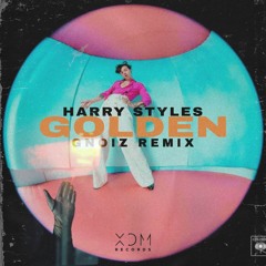 Harry Styles - Golden (GNoiz Remix)[XDM Premiere]