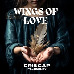 Wings Of Love