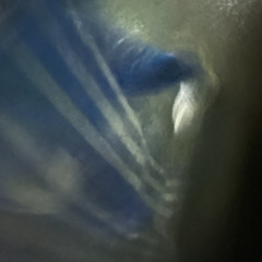 Shujinkou feat.agree