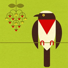Stream Shika Shika | Listen to A Guide to the Birdsong of South