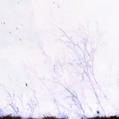 rehabnt prod. Farber x Youforia