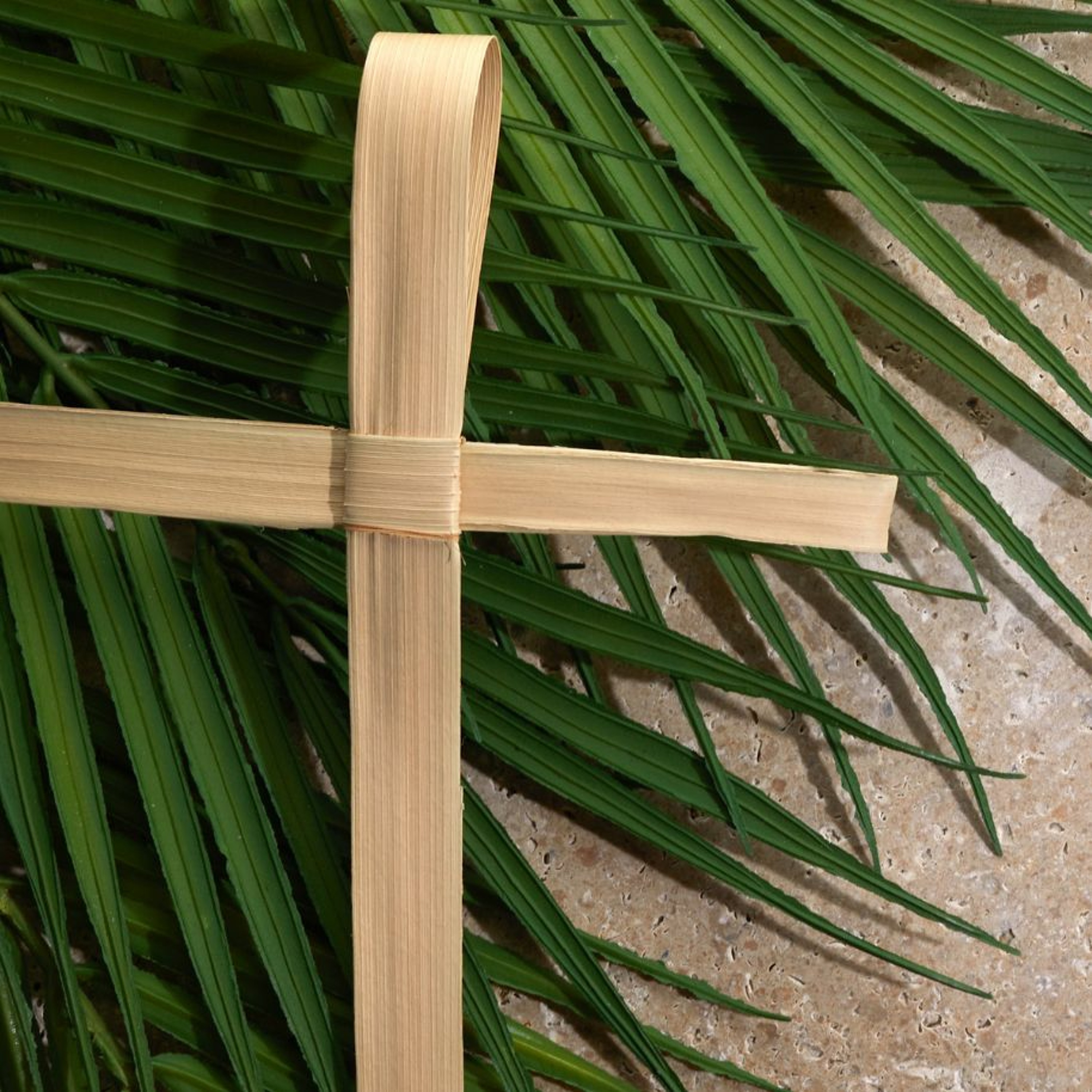 Palm Sunday 2023 (Natalie Rosner at C10 02-04-23)