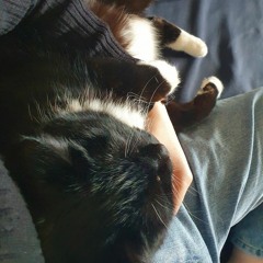 o children x another love