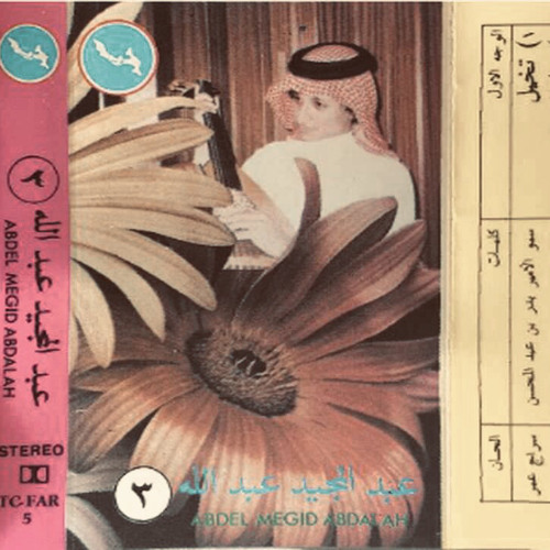 تخيّل | عبدالمجيد عبدالله