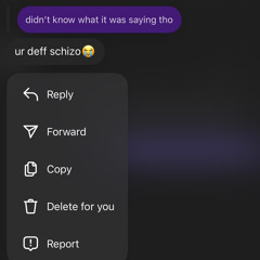 im definitely not schizo