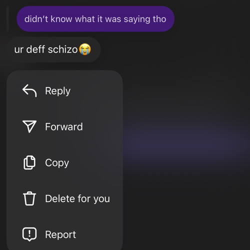 im definitely not schizo