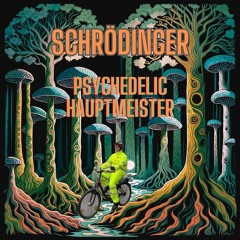 Schrödinger - Psychedelic Hauptmeister