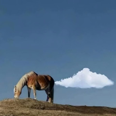 Horse N Around