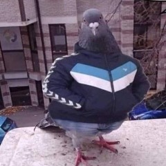 01 REC-2025-08-01.wav