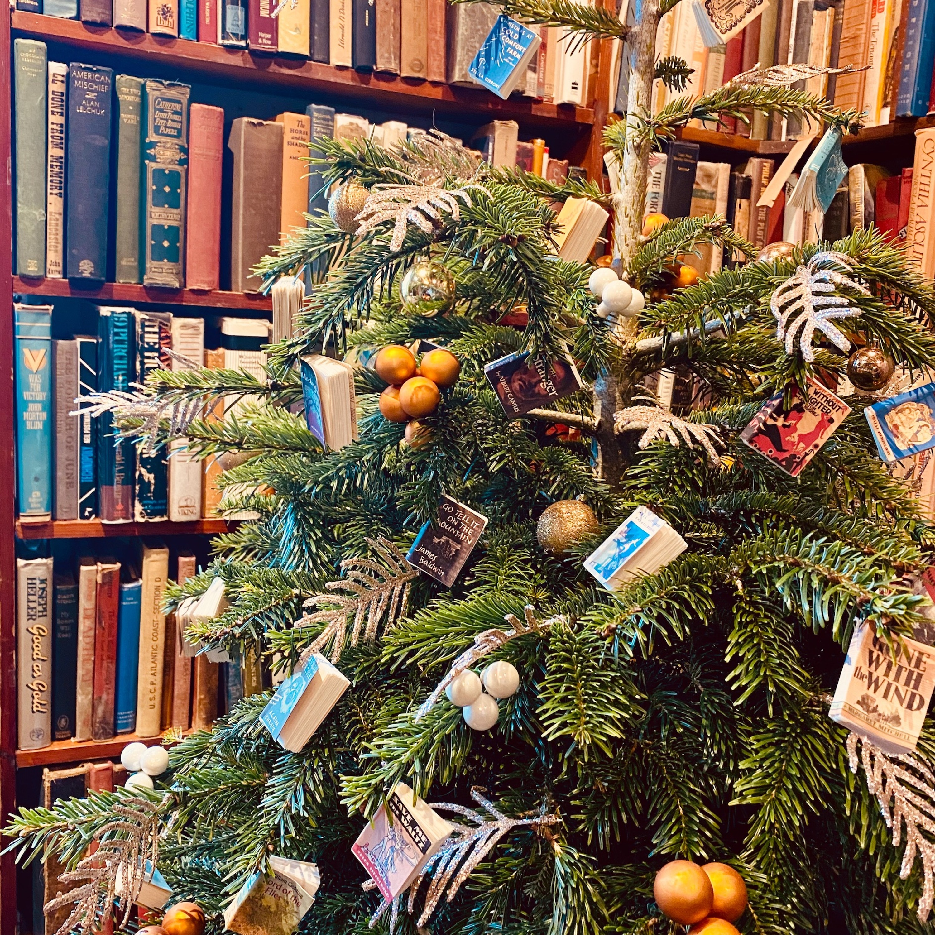 The Shakespeare and Company Interview