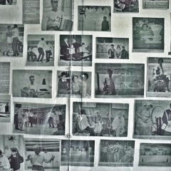 fog lake - dog years (alt)