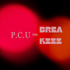 The Breakzzz