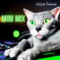 Jen CGP Garage House Mini Mix 020525