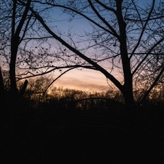 Can You See The Light?