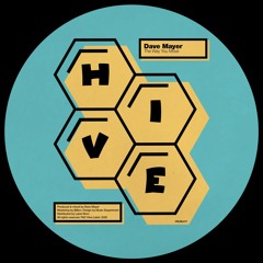PREMIERE: Dave Mayer - The Way You Move [Hive Label]