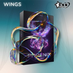CS6 – WINGS (PHOENIX Song Contest)