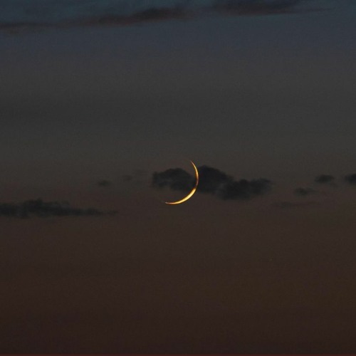 SPACE914 x D Benzo - Dont Switch