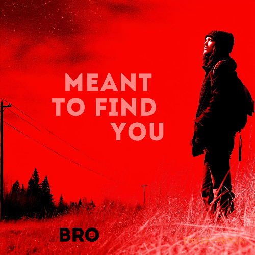 Meant to Find You