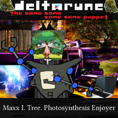 maxx i tree