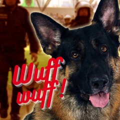 Die Akte – kein Vermögen, keine Schulden, keine Sorgepflichten