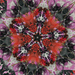 Fission #36