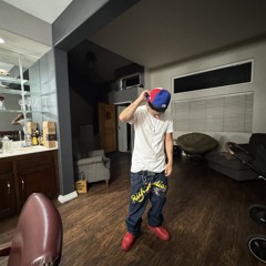 LMSS