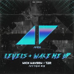 Avicii - Levels + Wake Me Up (Nick Havsen & TBR Festival Mix)