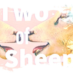 Two of Sheep