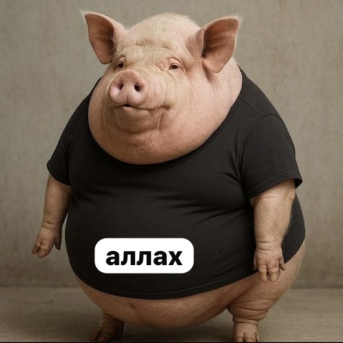 Аллаха как барашка (upload by amigo.)
