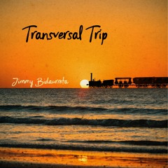 Transversal Trip