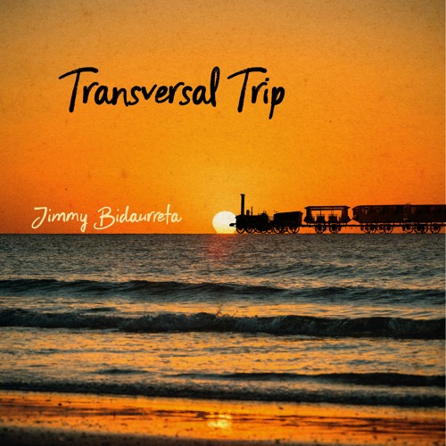 Transversal Trip