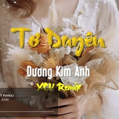 Tơ Duyên -  DƯƠNG KIM ÁNH ( XCV Remix)