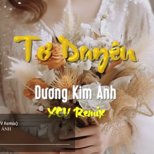 Tơ Duyên -  DƯƠNG KIM ÁNH ( XCV Remix)