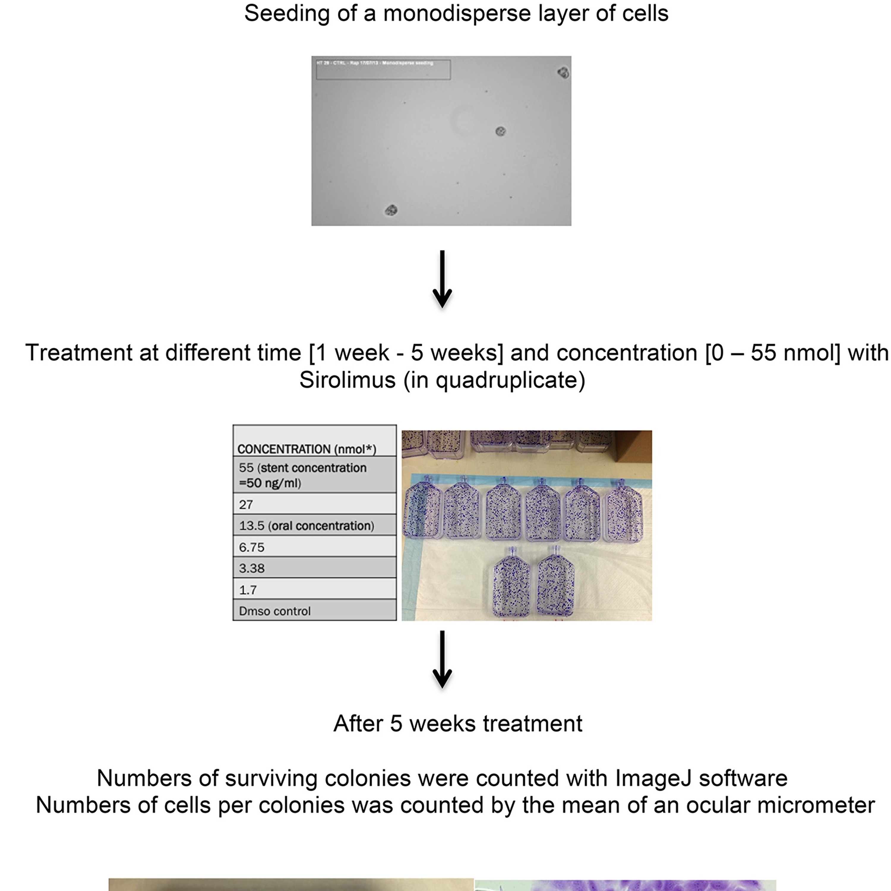 Oncotarget