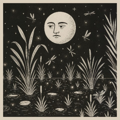 Devine Unity x STVTICMOON- Night Garden