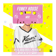 Sounds Of Funky House | Mixed By @DjKayThreee